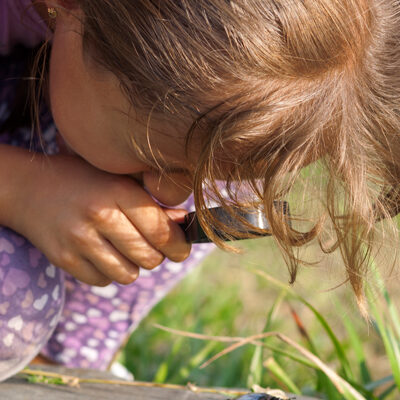 Girl looking at beetle | Experiential Learning Adventures