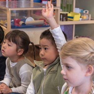 The Importance of a Holistic Approach to Learning in Daycare Centres | Child is Raising Hand at Rothewood Academy